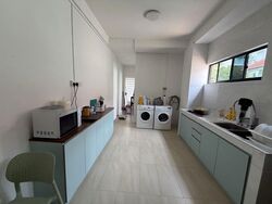 Havelock Road (D3), Shop House #627240551